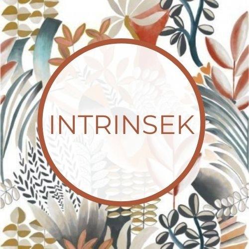 Intrinsek Collectif