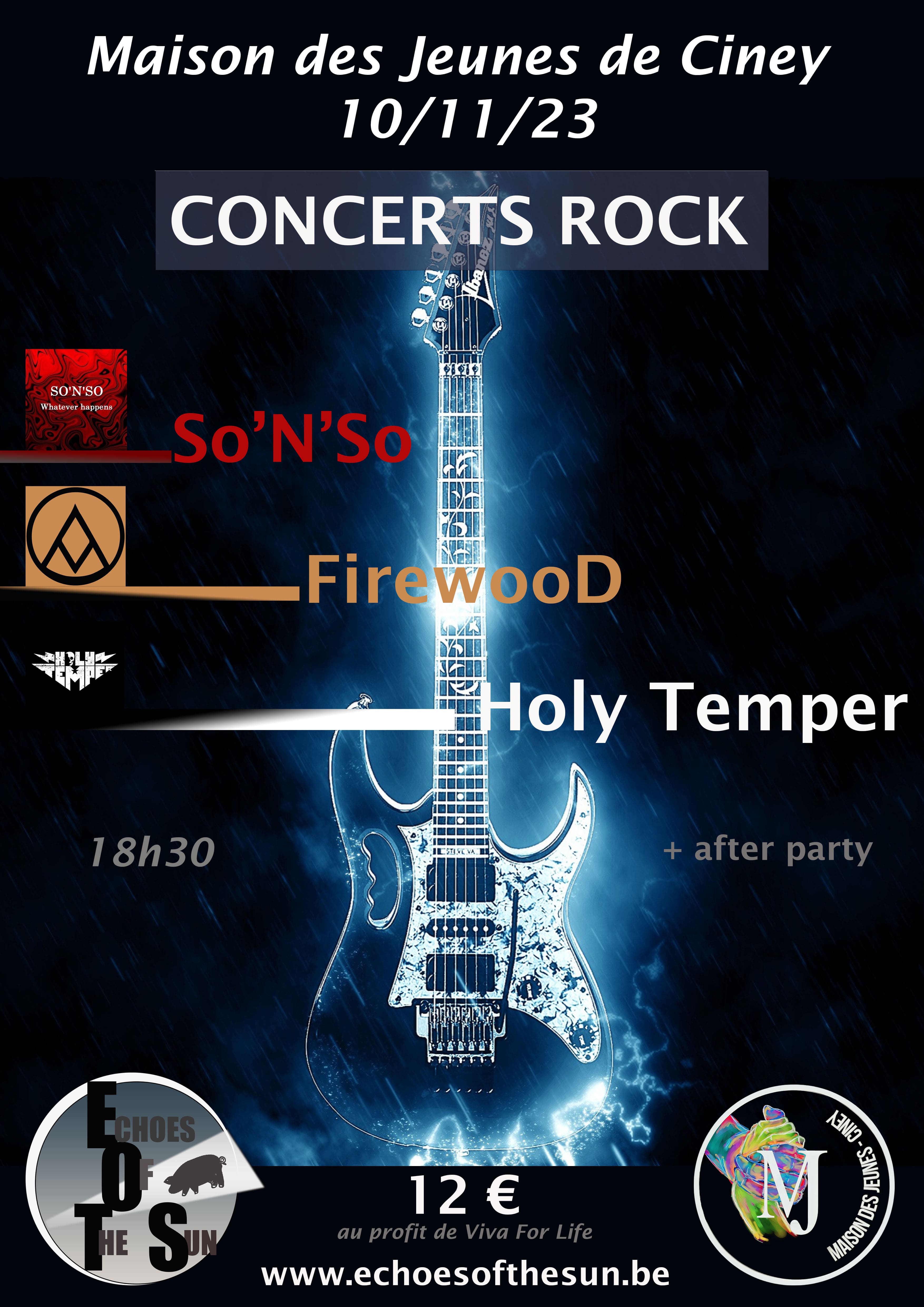 Concert rock affiche