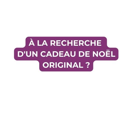 À LA RECHERCHE  D'UN CADEAU DE NOËL ORIGINAL ?