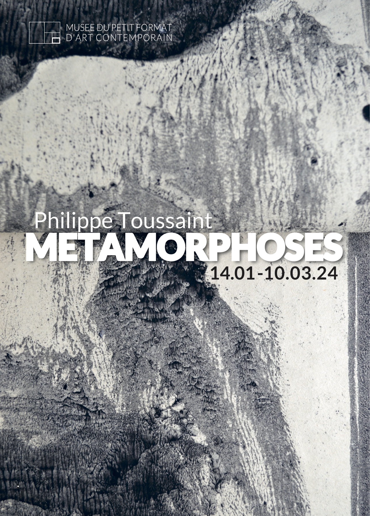 Philippe Toussaint - Métamorphoses © MPFAC