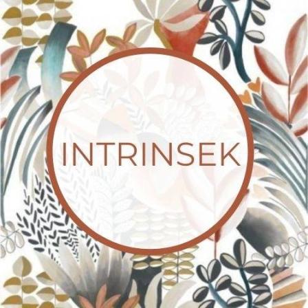 Intrinsek