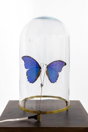 Courtesy de Vivien Roubaud & galerie In Situ - fabienne leclerc, Grand Paris. Photo_ Sebastiano Pellion di Persano