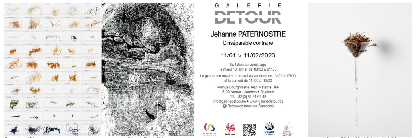 Trois travaux r&eacute;alis&eacute;s par Jehanne Paternostre &agrave; d&eacute;couvrir &agrave; la Galerie D&eacute;tour