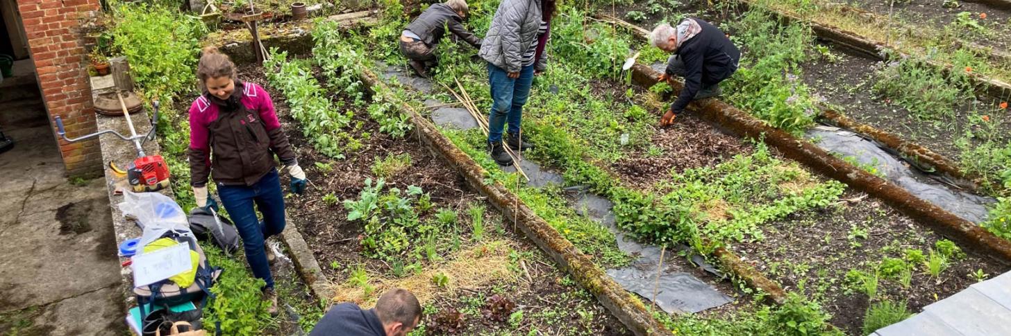 BALADE À VÉLO : DÉCOUVERTE DE POTAGERS COLLECTIFS NAMUROIS