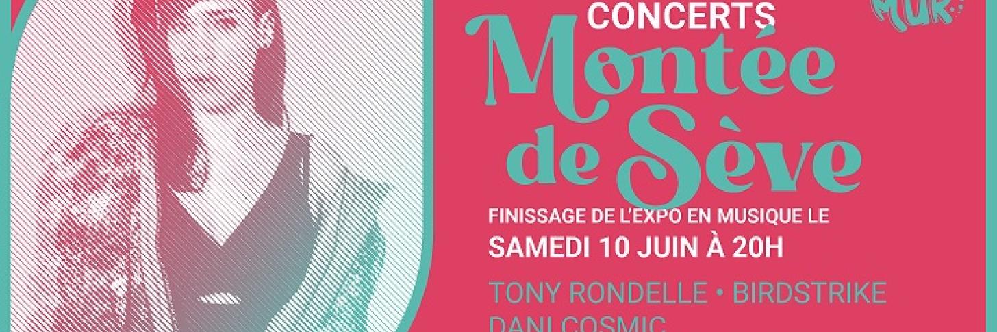 CONCERTS - FINISSAGE // MONTEE DE SEVE
