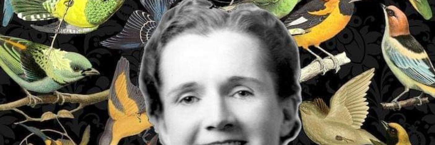 Rachel Carson ou Le silence des oiseaux
