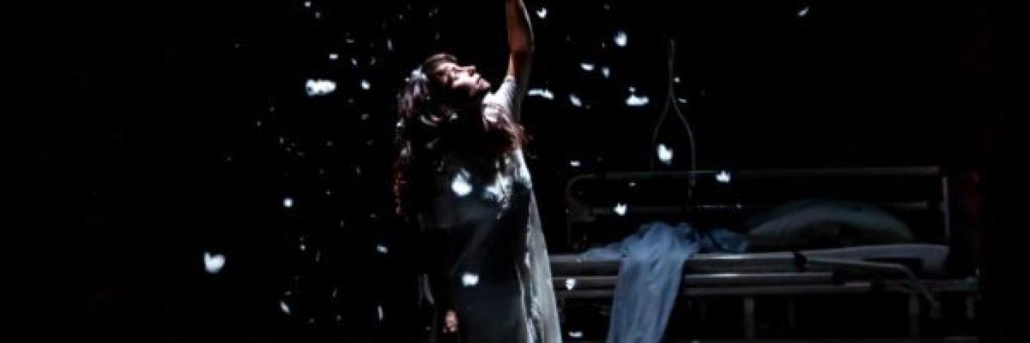 M.E.M.M. – Au mauvais endroit au mauvais moment – Alice Barraud & Raphaël de Pressigny (FR)