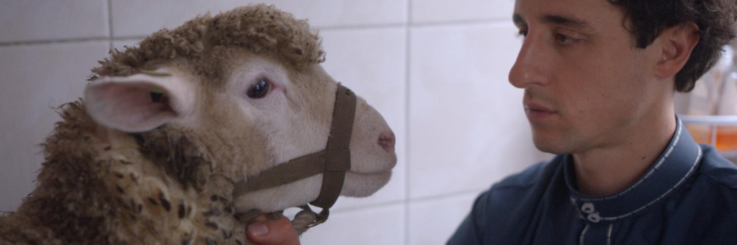 Ciné en journée: Habib, la grande aventure