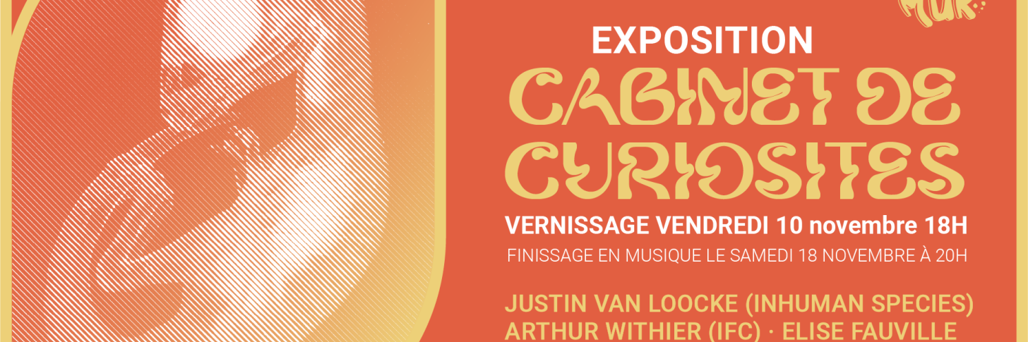 cabinet de curiosité