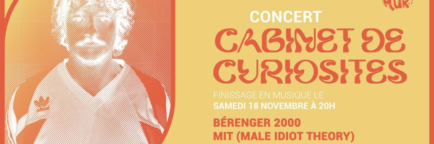 cabinet de curiosité