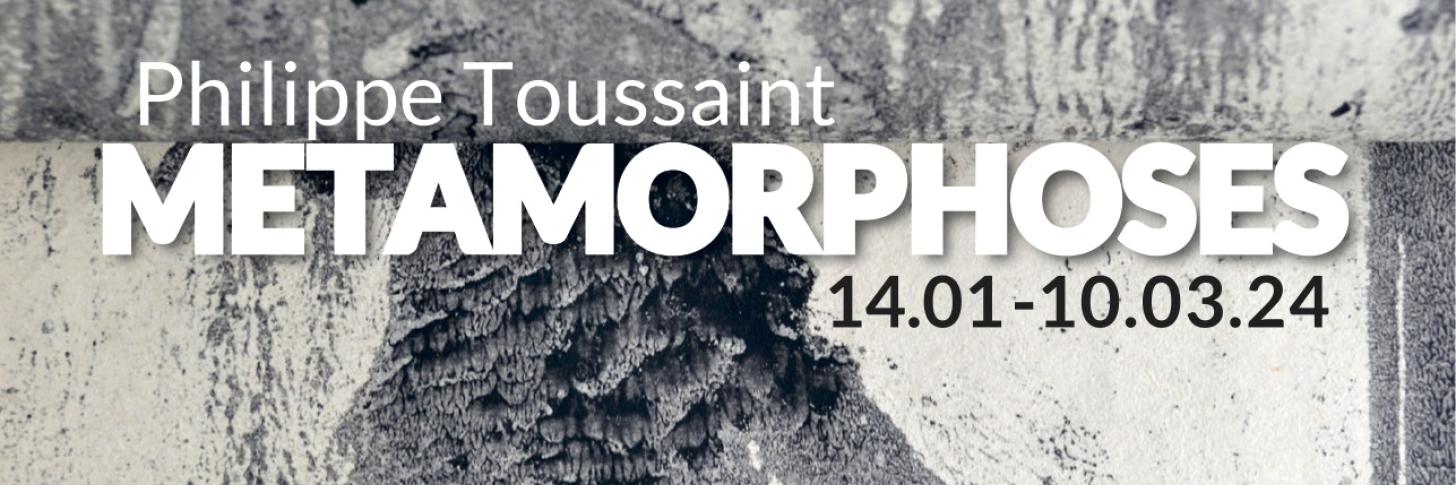 Philippe Toussaint - Métamorphoses © MPFAC