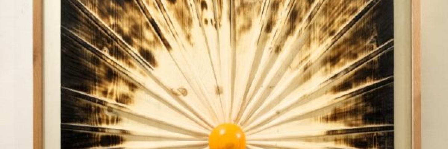 Histoires sous les doigts : les arbres