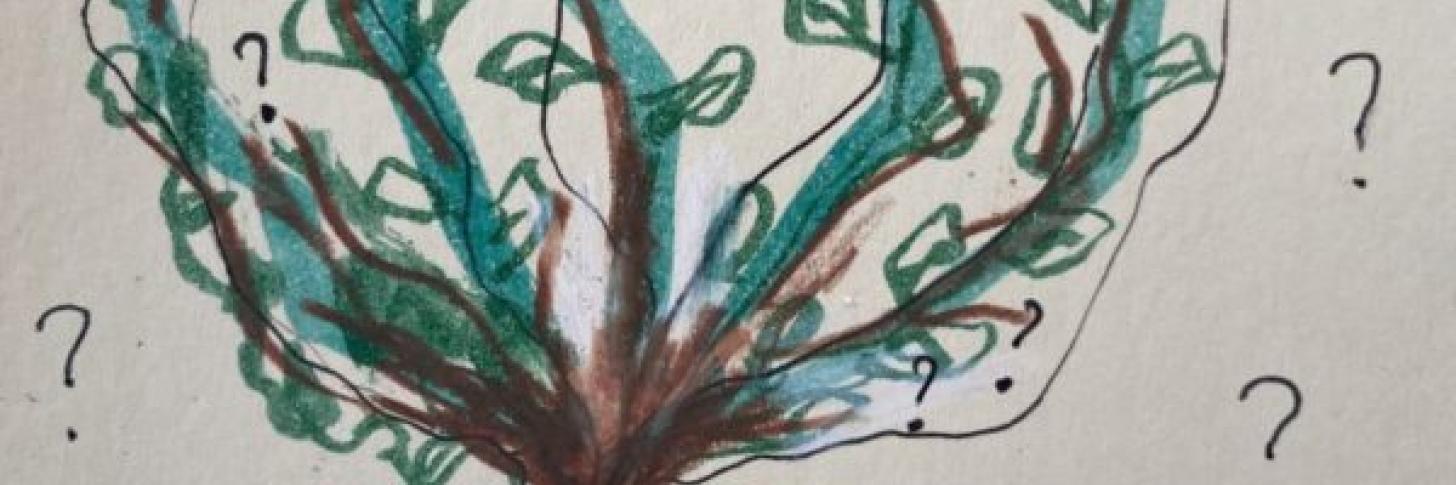 Sur les branches de ma famille