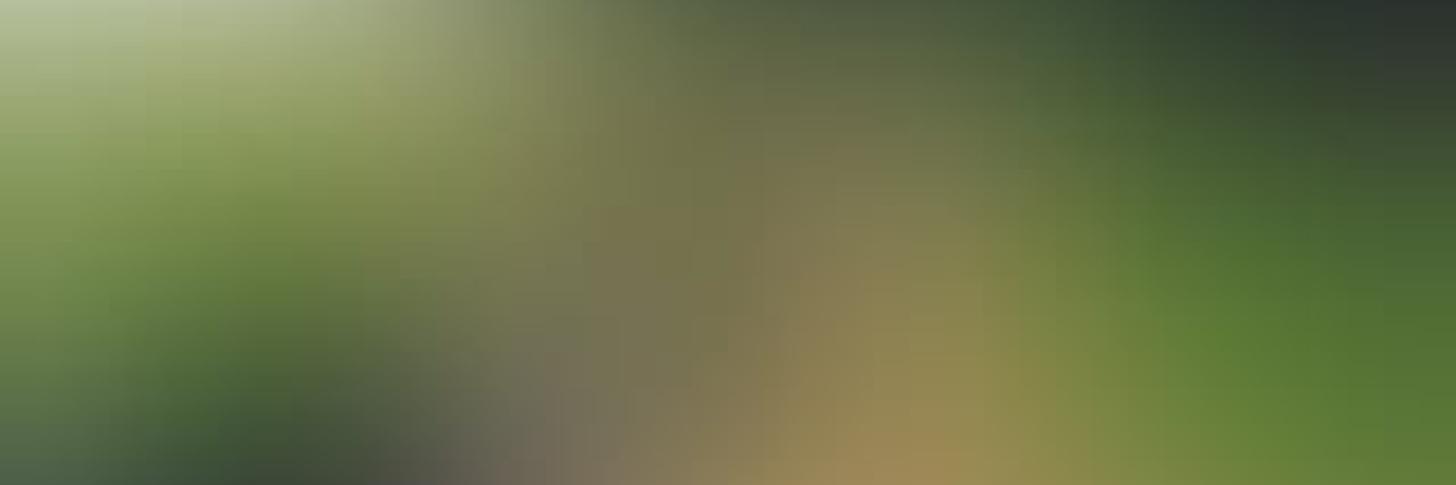 Event banner