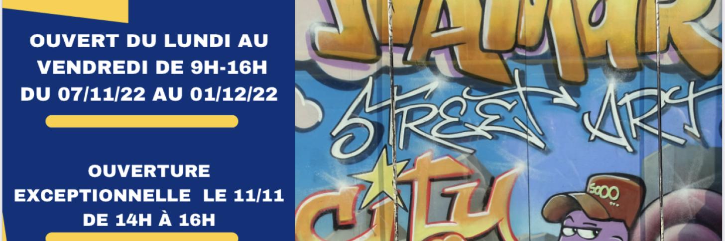 Exposition « Namur street art » par Vis à vis asbl