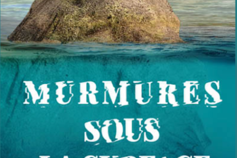 Couverture du roman "Murmures sous la surface"