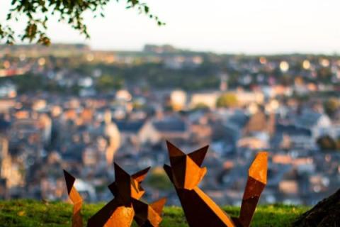 Festival International Nature Namur
