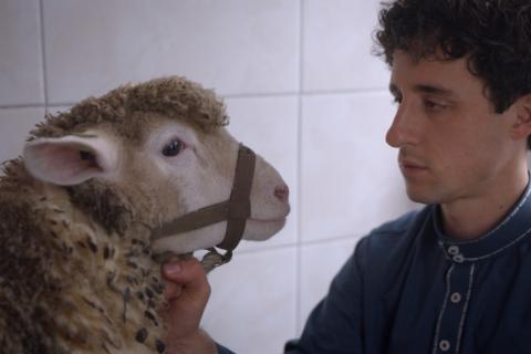Habib, la grande aventure