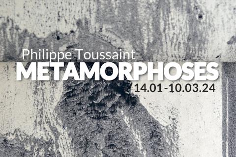 Philippe Toussaint - Métamorphoses © MPFAC