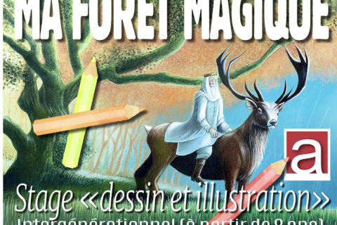 Stage "Ma forêt magique"