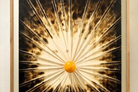 Histoires sous les doigts : les arbres