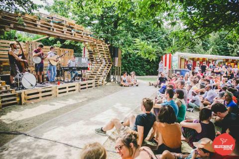 BlueBird : Un festival haut en couleurs